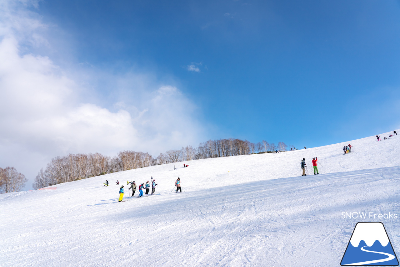 ダイナスティスキーリゾート｜とってもワイドなメインゲレンデと探検気分の林間コース！繰り返し滑れば、自然に上達すること間違い無し(^^)v